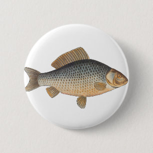 Karpfenfisch, Süßwasser anstrichen Button
