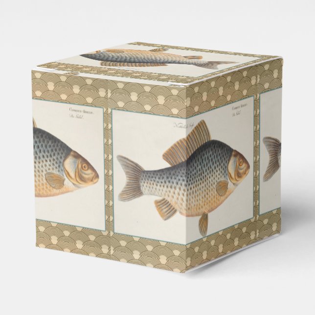 Karpfenfisch, Süßwasser anstrichen Geschenkschachtel (Vorderseite)