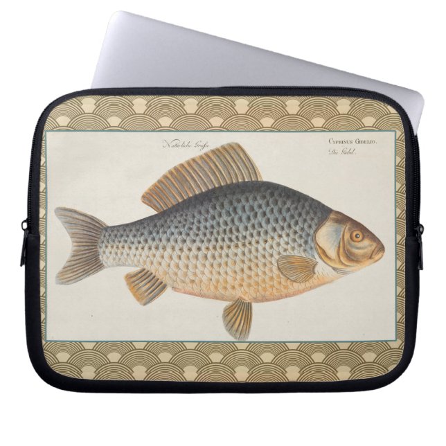 Karpfenfisch, Süßwasser anstrichen Laptopschutzhülle (Vorderseite)