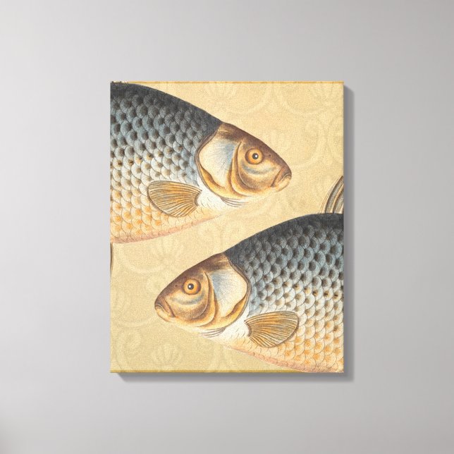 Karpfenfisch, Süßwasser anstrichen Leinwanddruck (Vorderseite)