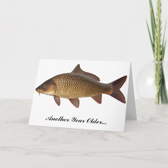 Karpfenfischen Geburtstagskarte Karte (Vorderseite)