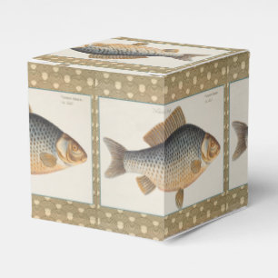 Karpfenfischmalerei Süßwasserzeichnung Geschenkschachtel
