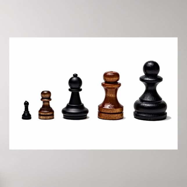 Karriereweg Poster (Vorne)