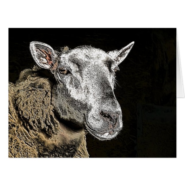 KARTE (Vorderseite (Horizontal))