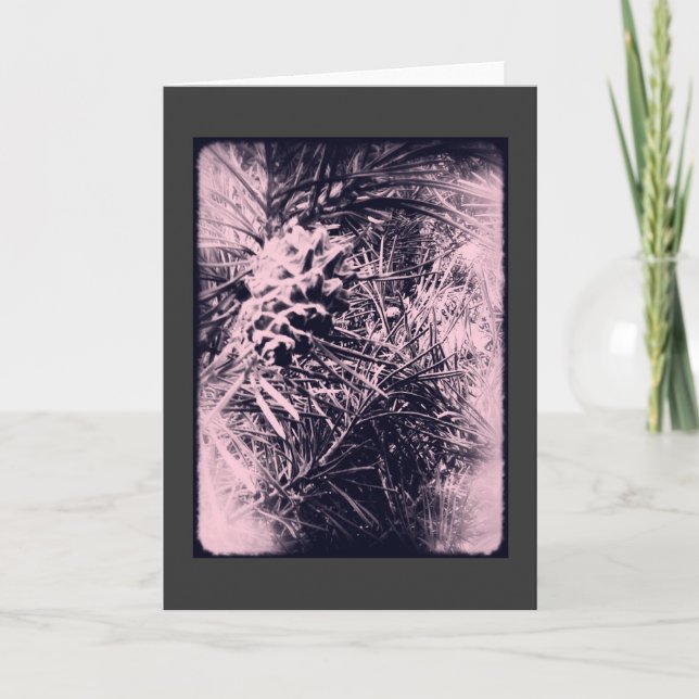 Karte 3 des Immergrün-6 (Vorderseite)