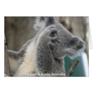 Karte Adoptiere einen Koala Australien Pfote