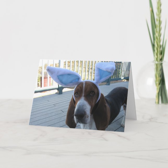 Karte Basset Hounds Ostern (Vorderseite)