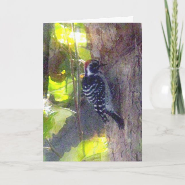 Karte - Begrüßung - Specker (Vorderseite)