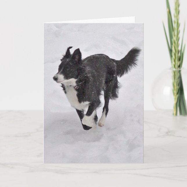 Karte - Border-Collie, die durch den Schnee läuft (Vorderseite)