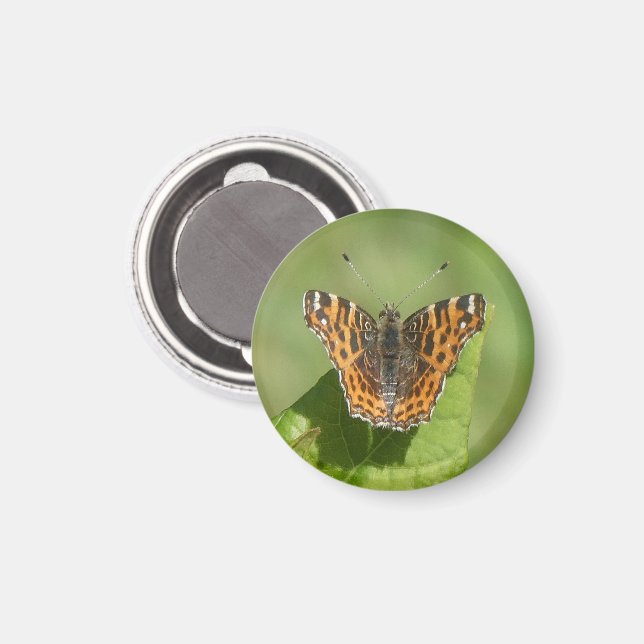 Karte Butterfly auf dem Leaf Magnet (Vorderseite/Rückseite)