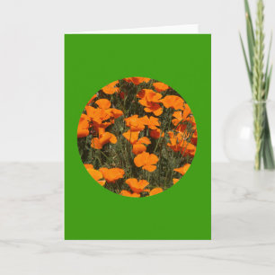Karte, "California Poppies in Circle" # 4 Karte