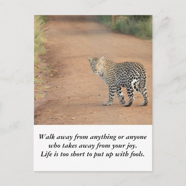 Karte: Das Leben ist zu kurz Postkarte (Vorderseite)