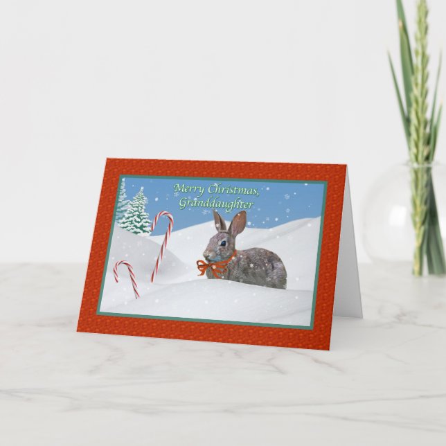 Karte der Enkelin Weihnachtsmit Kaninchen (Vorderseite)