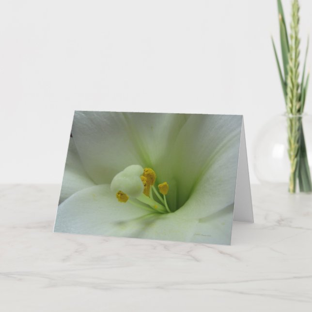 Karte der Lilien-1 (Vorderseite)