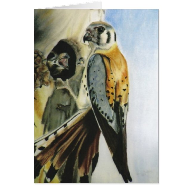 Karte "des amerikanischen Kestrel" (Vorne)