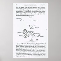 Karte des Archipels Galapagos, 1844