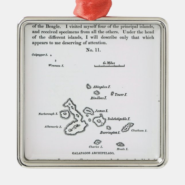 Karte des Galapagos-Archipels, 1844 Silbernes Ornament (Vorne)