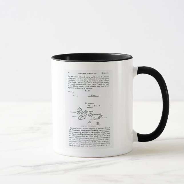 Karte des Galapagos-Archipels, 1844 Tasse (Rechts)