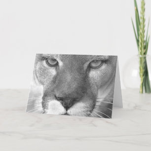Karte des Pumas #1-Greeting