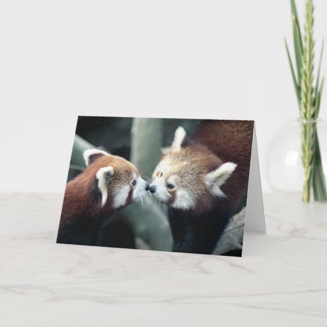 Karte des roten Pandas #2-Greeting (Vorderseite)
