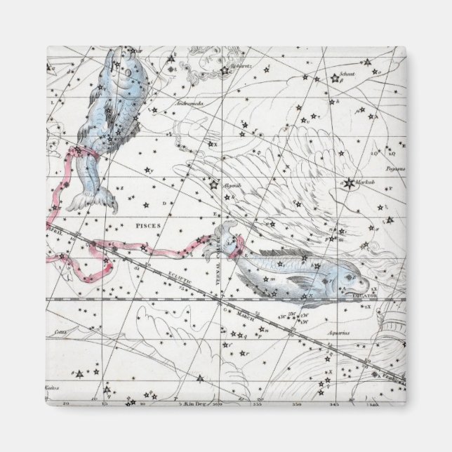 Karte des Sternbilds XXII Magnet (Vorne)
