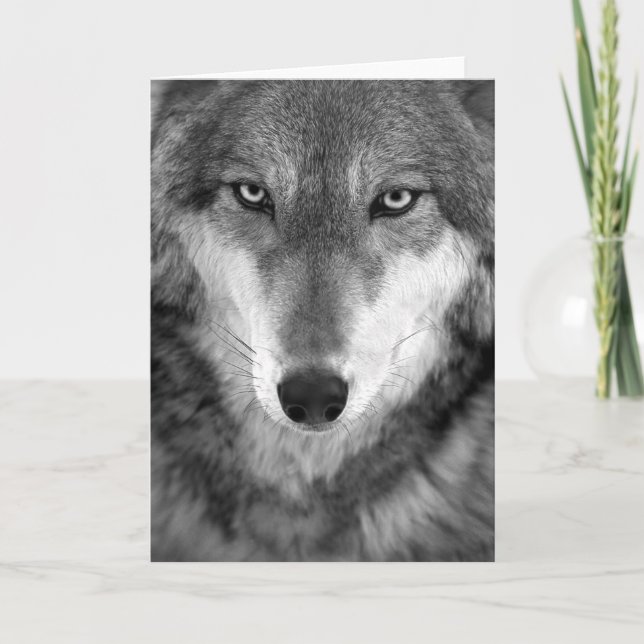 Karte des Timberwolfs #1-Greeting (Vorderseite)