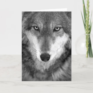 Karte des Timberwolfs #1-Greeting