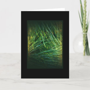 Karte des Winterurlaub-1