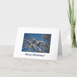 Karte / Ein Adler Weihnachten