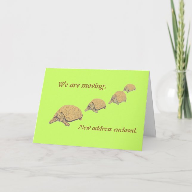 Karte für die Familie Tortoise (Vorderseite)