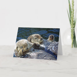 Karte für Seeotter