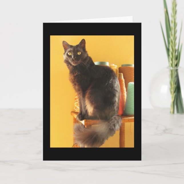 Karte - Gruß - Katze mit Garn (Vorderseite)