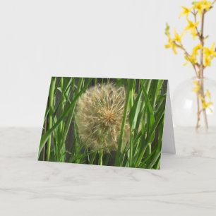 Karte - Gruß - Pusteblume