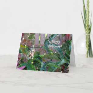 Karte - Gruß - Spiegeln im Internet