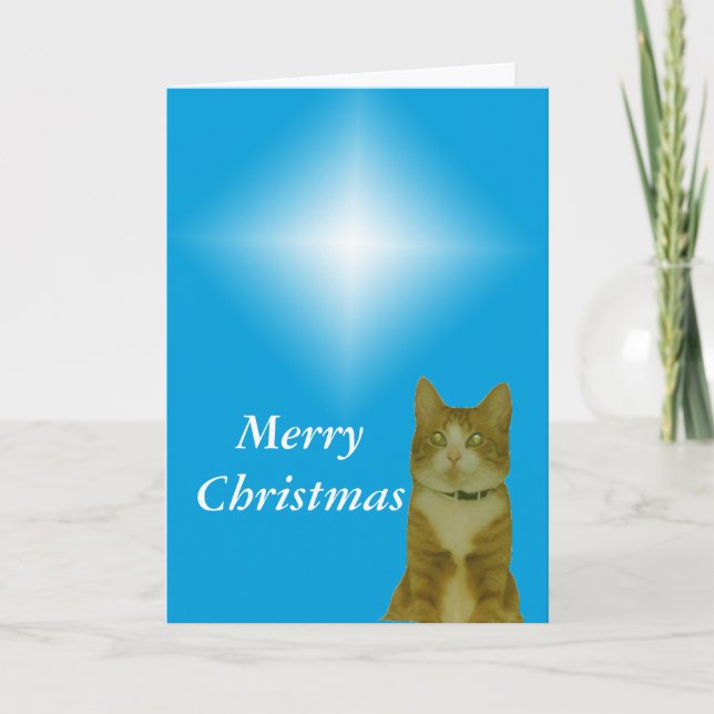 Karte - Gruß - Weihnachtsstar (Vorderseite)