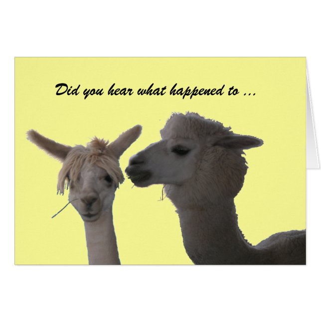 Karte - Haben Sie gehört ... (Vorderseite (Horizontal))