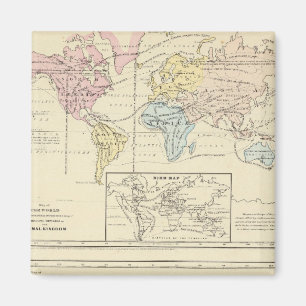 Karte in Farbe der Welt Magnet
