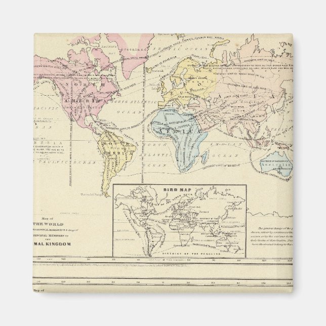 Karte in Farbe der Welt Magnet (Vorne)