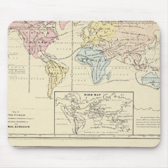 Karte in Farbe der Welt Mousepad (Vorne)