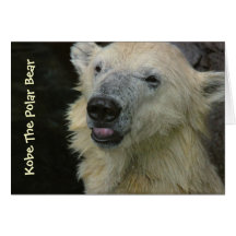 Karte: Lächelnder Polarbär
