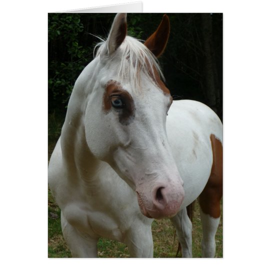 Karte mit 015 Illusionen