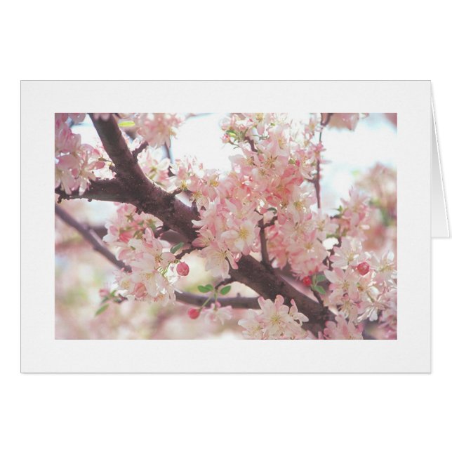 Karte mit Foto des blühenden Baumzweigs (Vorderseite (Horizontal))
