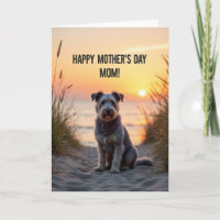 Karte mit Hund am geriffelten Sandstrand bei Sonne