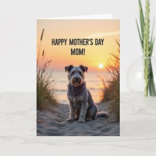 Karte mit Hund am geriffelten Sandstrand bei Sonne