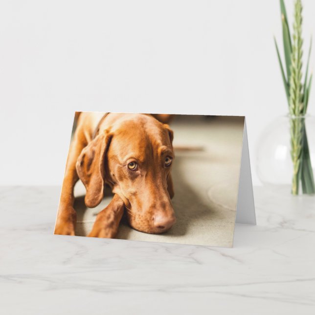 Karte mit Motiv "Magyar Vizsla" (Vorderseite)