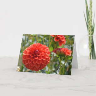 Karte mit orangefarbener Dahlie