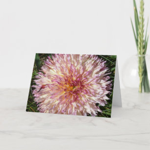Karte mit rosa und weißer Stacheldrüse