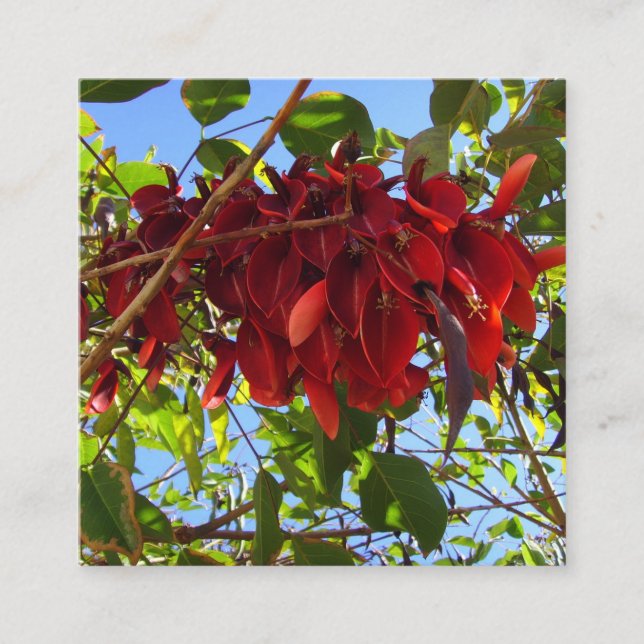 Karte mit roten Blätter (Vorderseite)
