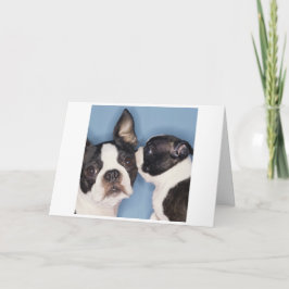 Karte Mutter Bostons Terrier Tages