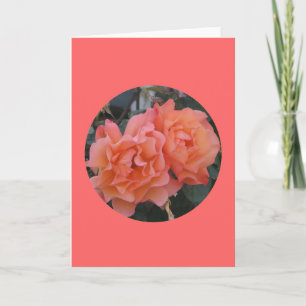 Karte, "orange rosa Rosen im Kreis" M-1 Karte